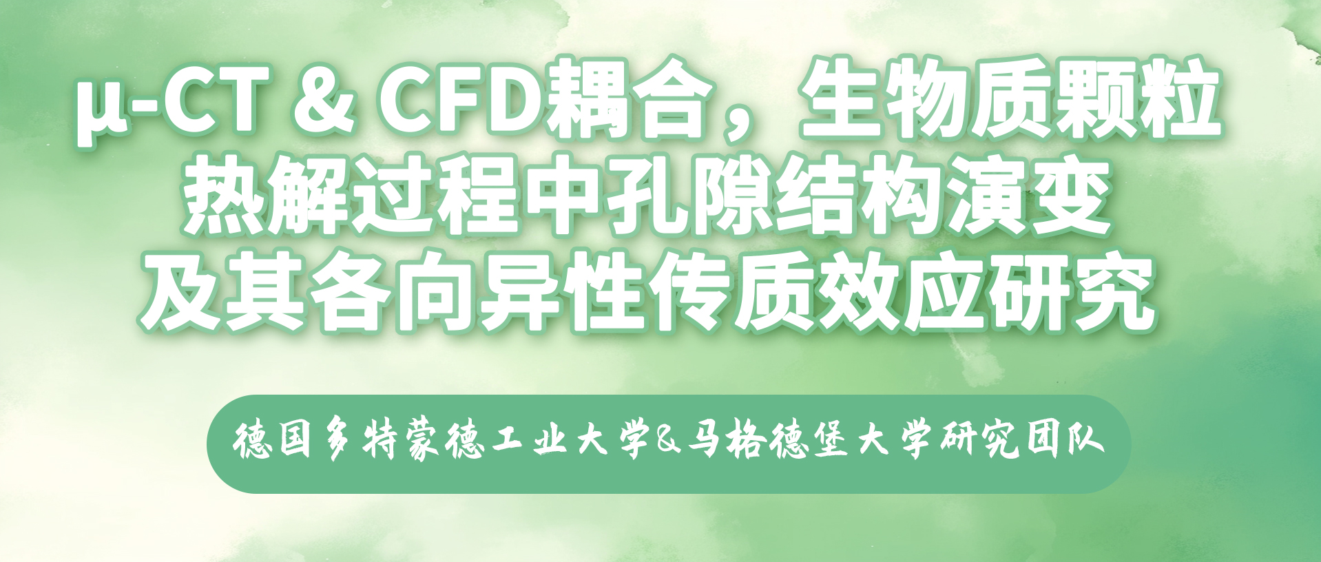 德国多特蒙德工业大学&马格德堡大学：μ-CT & CFD耦合，生物质颗粒热解过程中孔隙结构演变及其各向异性传质效应研究